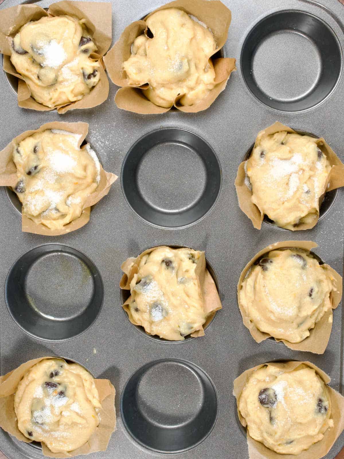 orange chocolate chip muffin batter in muffin liners in a muffin pan