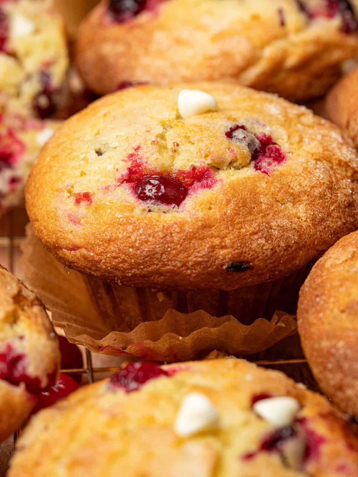 White choc and cranberry muffins showing how big the muffin top is.