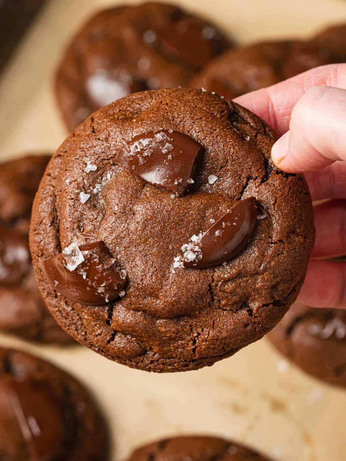 Closeup of the cookie showing the texture.