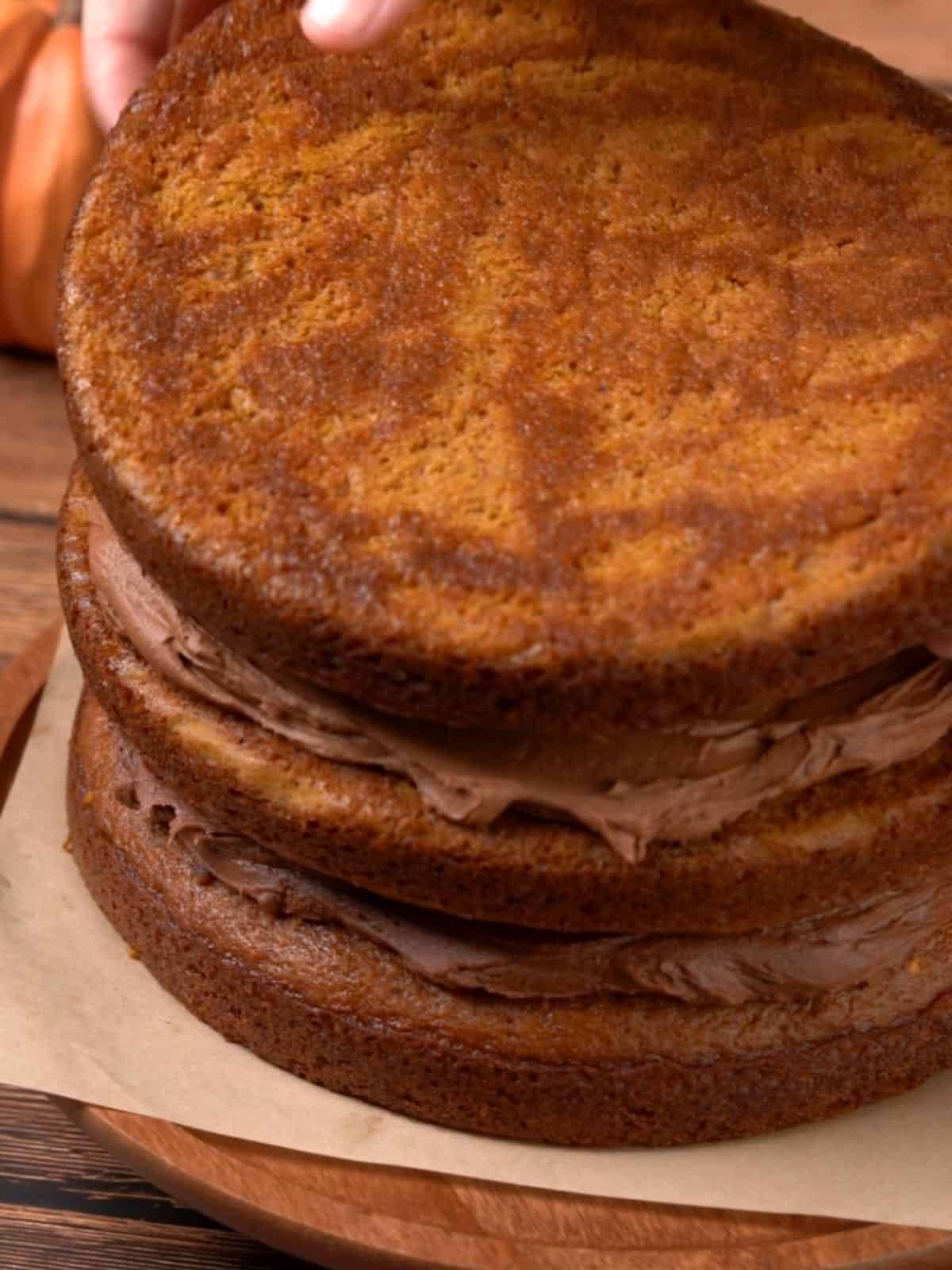 A pumpkin cake layer topping off the layers of cake.