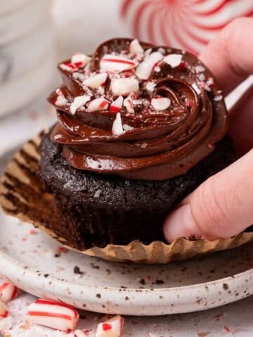 A peppermint chocolate cupcake on a plate with peppermint candies around.