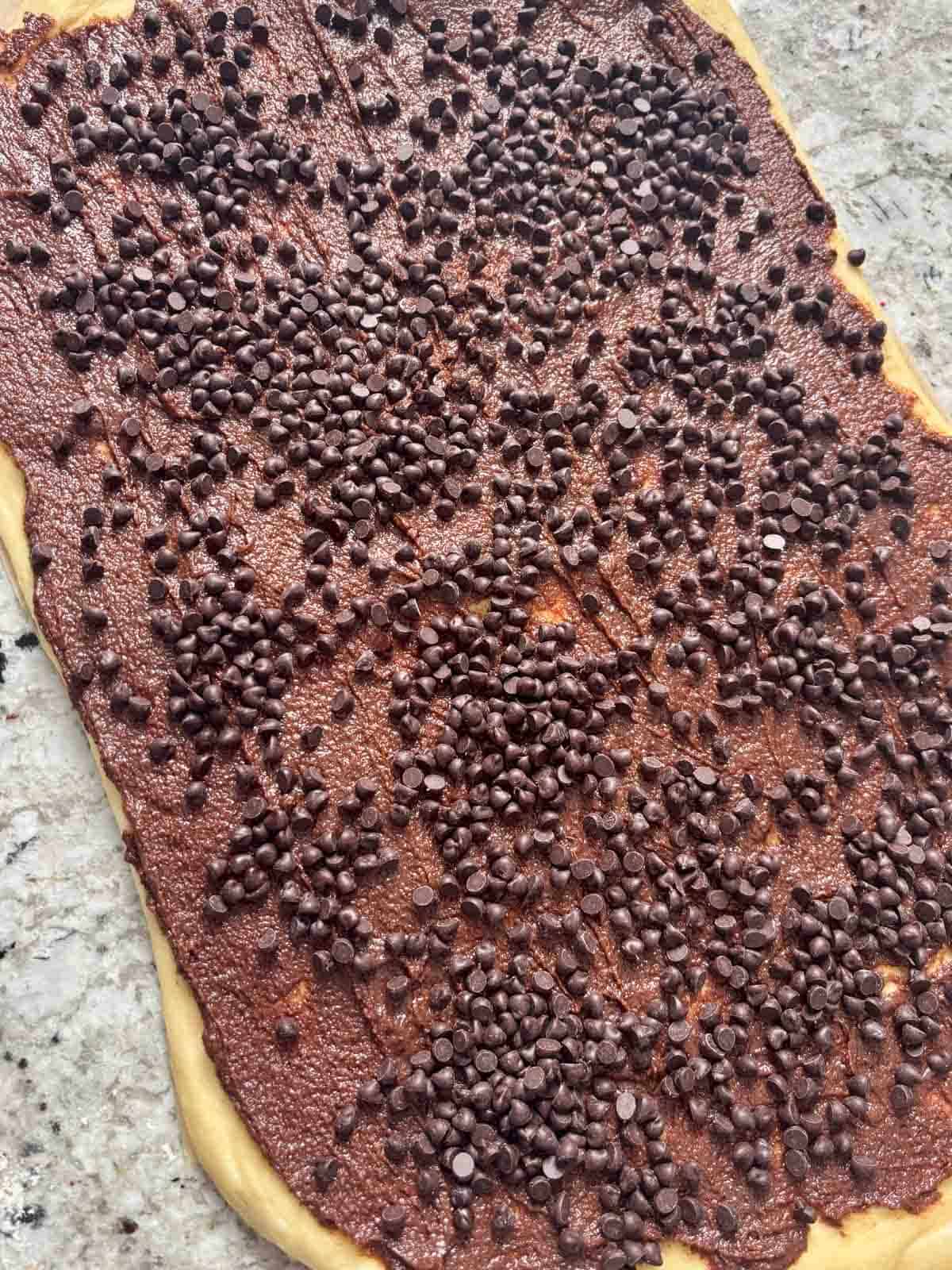 Chocolate cinnamon sugar filling with chocolate chips on top of the yeasted dough.